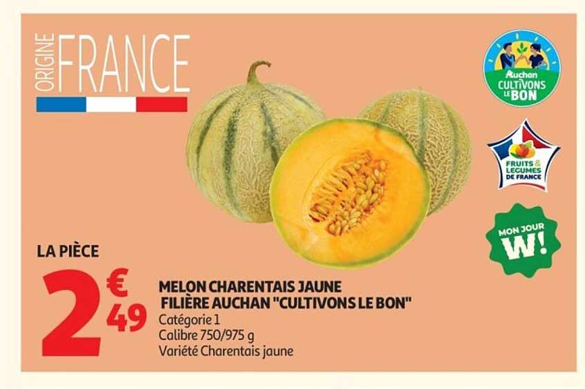 MELON CHARENTAIS JAUNE FILIÈRE AUCHAN "CULTIVONS LE BON"