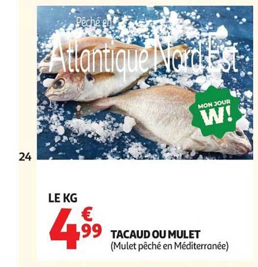 Pêché en Atlantique Nord Est