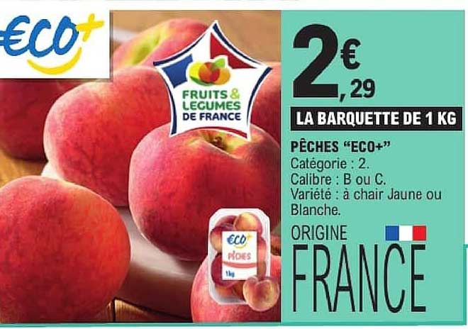 PÊCHES “ECO+”