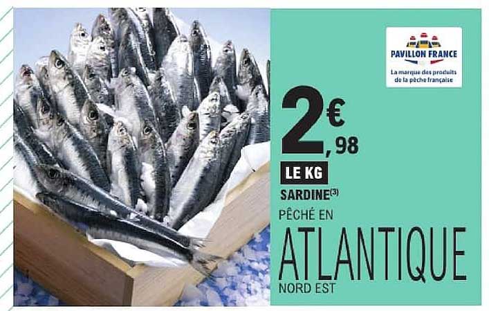 SARDINE PÊCHÉ EN ATLANTIQUE NORD EST