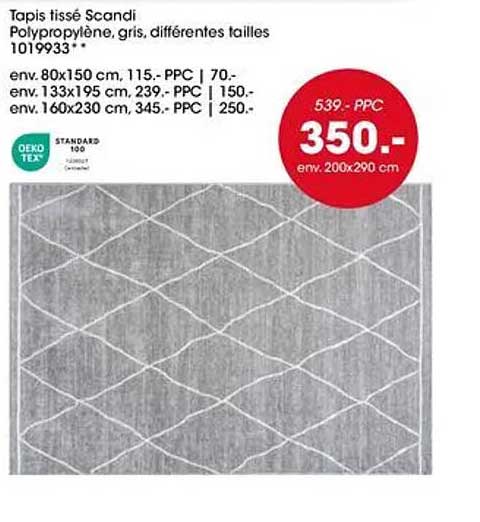 Tapis tissé Scandi Polypropylène, gris, différentes tailles 1019933**