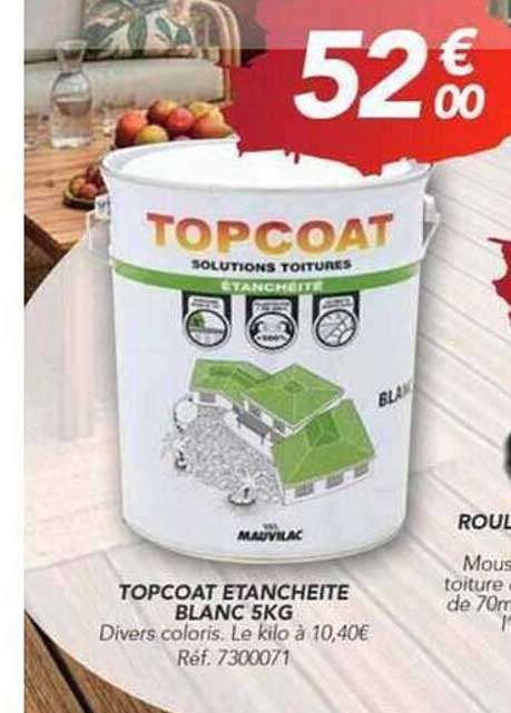 TOPCOAT ETANCHEITE BLANC 5KG
