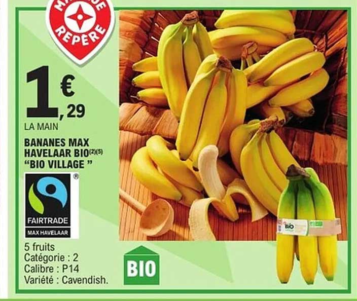 BANANES MAX HAVELLAAR BIO (2x5) "BIO VILLAGE"