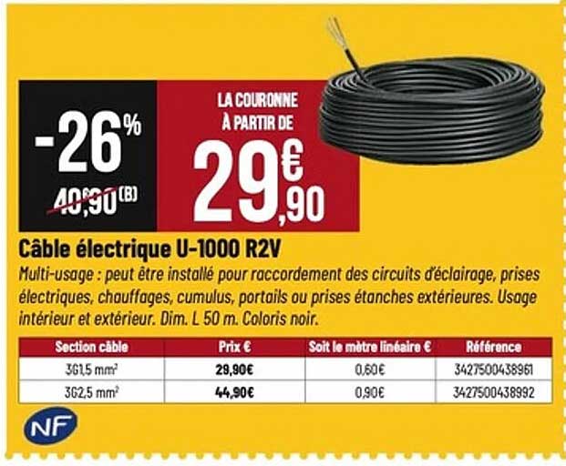 Câble électrique U-1000 R2V