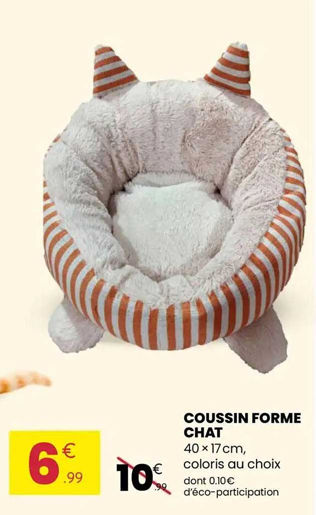 COUSSIN FORME CHAT