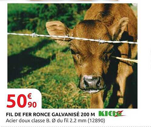 FIL DE FER RONCE GALVANISÉ 200 M