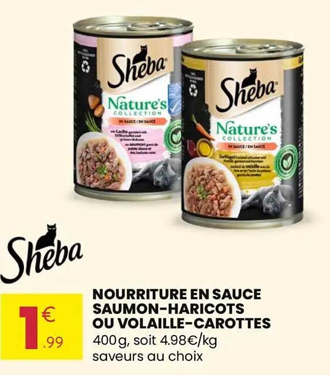 NOURRITURE EN SAUCE SAUMON-HARICOTS OU VOLAILLE-CAROTTES