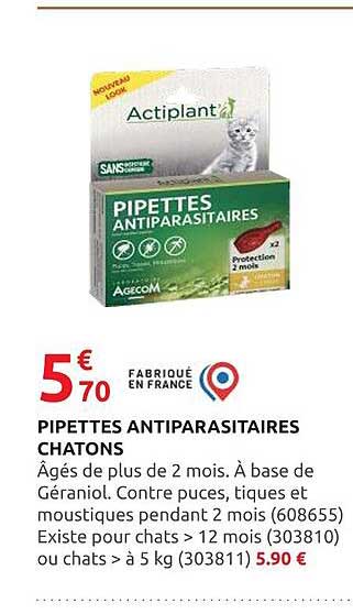 PIPETTES ANTIPARASITAIRES CHATONS