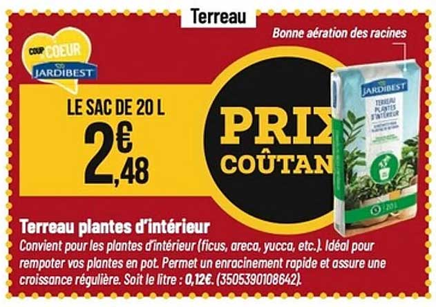 Terreau plantes d’intérieur