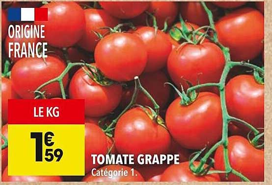 TOMATE GRAPPE