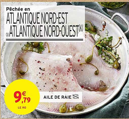 AILE DE RAIE