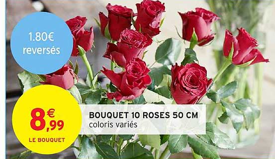 BOUQUET 10 ROSES 50 CM coloris variés