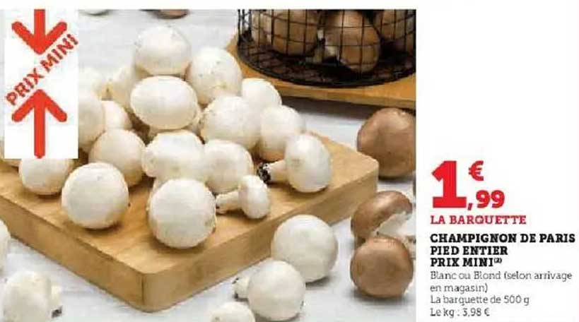 CHAMPIGNON DE PARIS PIED ENTIERS PRIX MINI