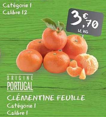 CLÉMENTINE FEUILLE