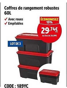 Coffres de rangement robustes 60L