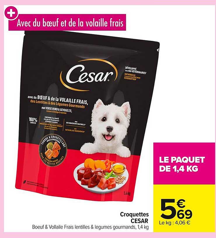 Croquettes CESAR 1,4 kg