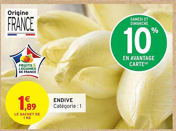 ENDIVE