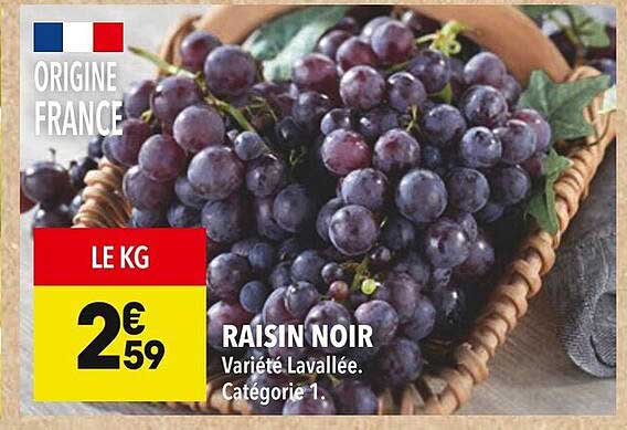 RAISIN NOIR