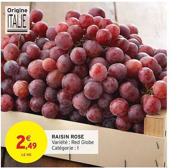 RAISIN ROSE