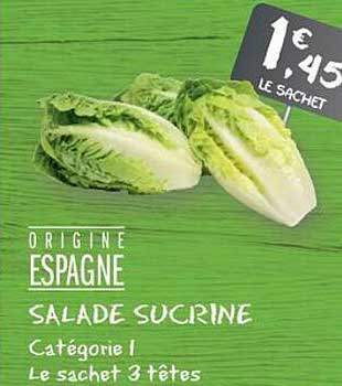 SALAD SUCRINE