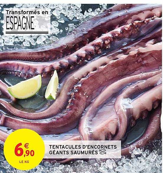 TENTACULES D'ENCORNETS GÉANTS SAUMURÉS