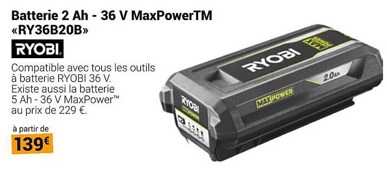 Batterie 2 Ah - 36 V MaxPowerTM «RY36B20B»