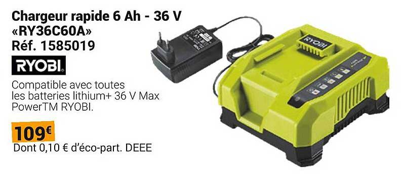 Chargeur rapide 6 Ah - 36 V «RY36C60A»