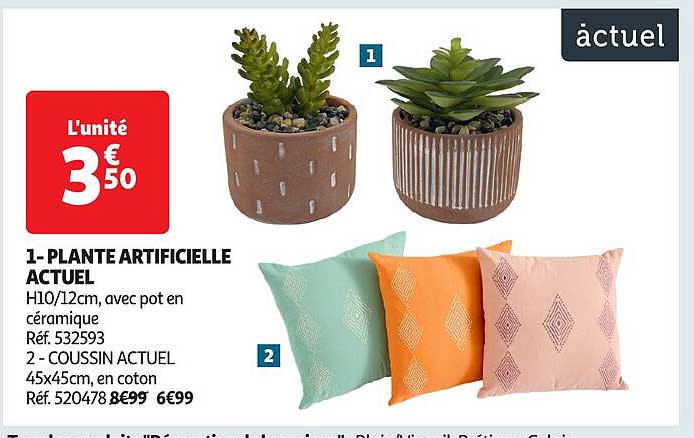 1- PLANTE ARTIFICIELLE ACTUEL
