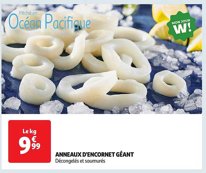 ANNEAUX D'ENCORNET GÉANT
