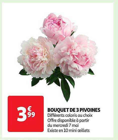BOUQUET DE 3 PIVOINES