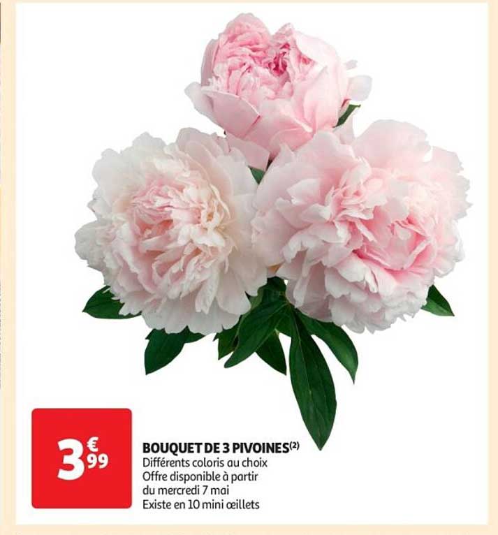 BOUQUET DE 3 PIVOINES