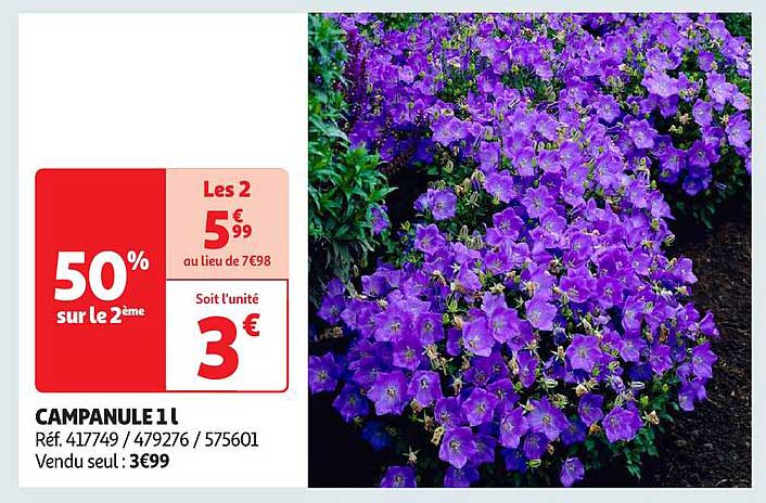 CAMPANULE 1 l
