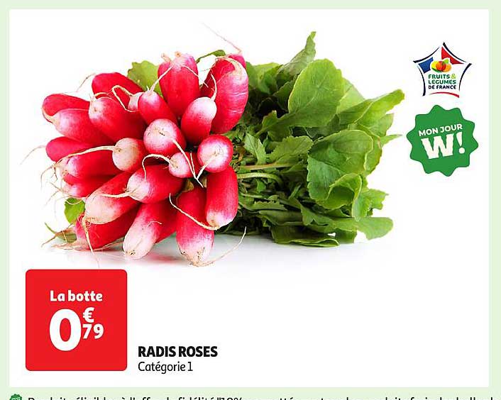 RADIS ROSES