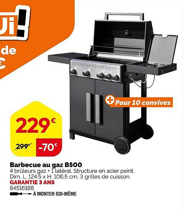 Barbecue au gaz B500
