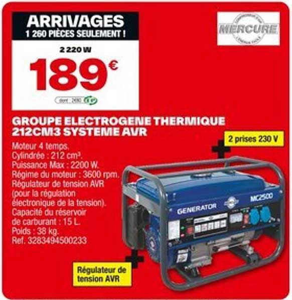 GROUPE ELECTROGENE THERMIQUE 212/CM3 SYSTEME AVR