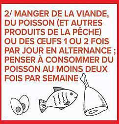 2/ MANGER DE LA VIANDE, DU POISSON (ET AUTRES PRODUITS DE LA PÊCHE) OU DES ŒUFS 1 OU 2 FOIS PAR JOUR EN ALTERNANCE ; PENSER À CONSOMMER DU POISSON AU MOINS DEUX FOIS PAR SEMAINE
