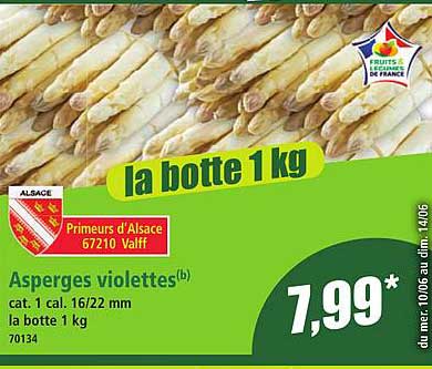 Asperges violettes