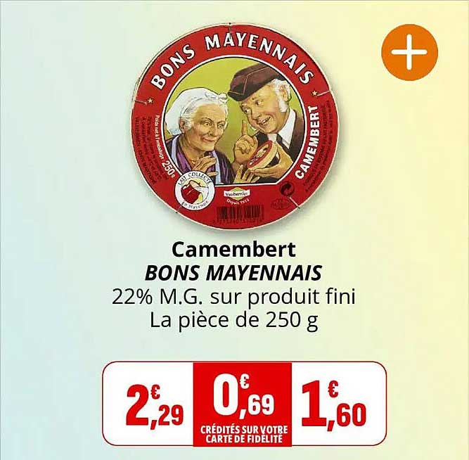 Camembert BONS MAYENNAIS 22% M.G. sur produit fini La pièce de 250 g