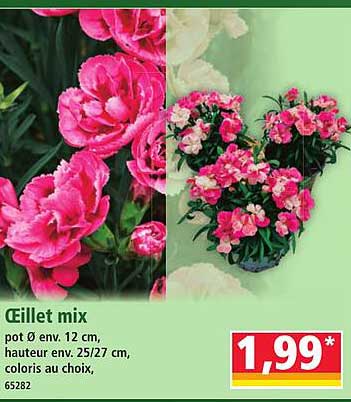 Fillett mix