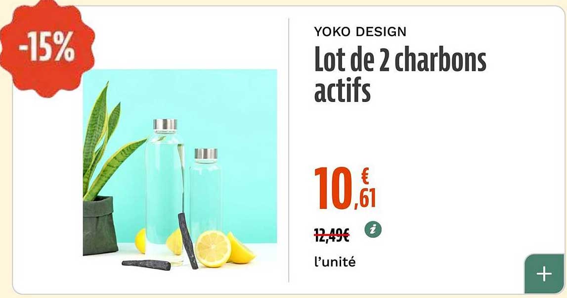 Lot de 2 charbons actifs