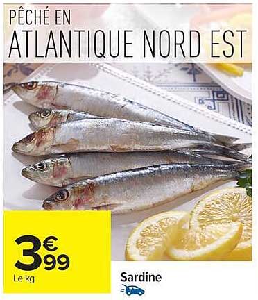 PÊCHE EN ATLANTIQUE NORD EST