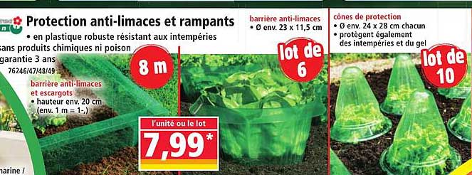 Protection anti-limaces et rampants