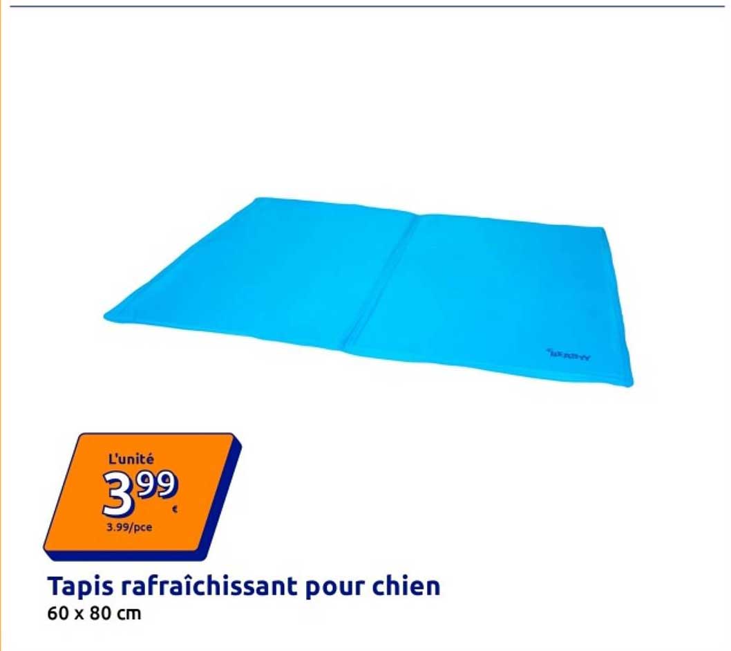Tapis rafraîchissant pour chien