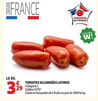 TOMATES ALLONGÉES LATINES