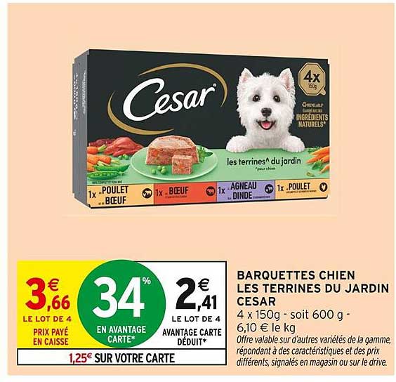 BARQUETTES CHIEN LES TERRINES DU JARDIN CESAR