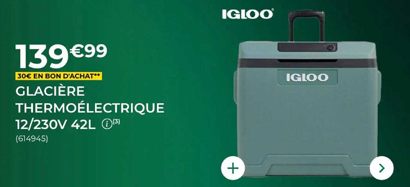 GLACIÈRE THERMOÉLECTRIQUE 12/230V 42L