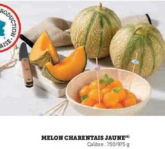 MELON CHARENTais JAUNE