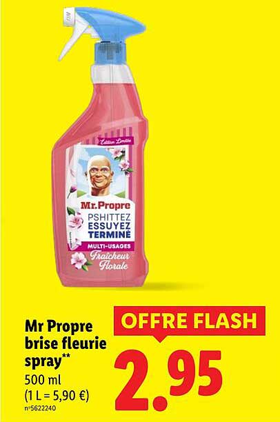Mr Propre brise fleurie spray