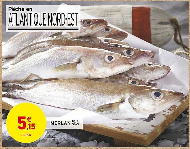 Pêché en ATLANTIQUE NORD-EST