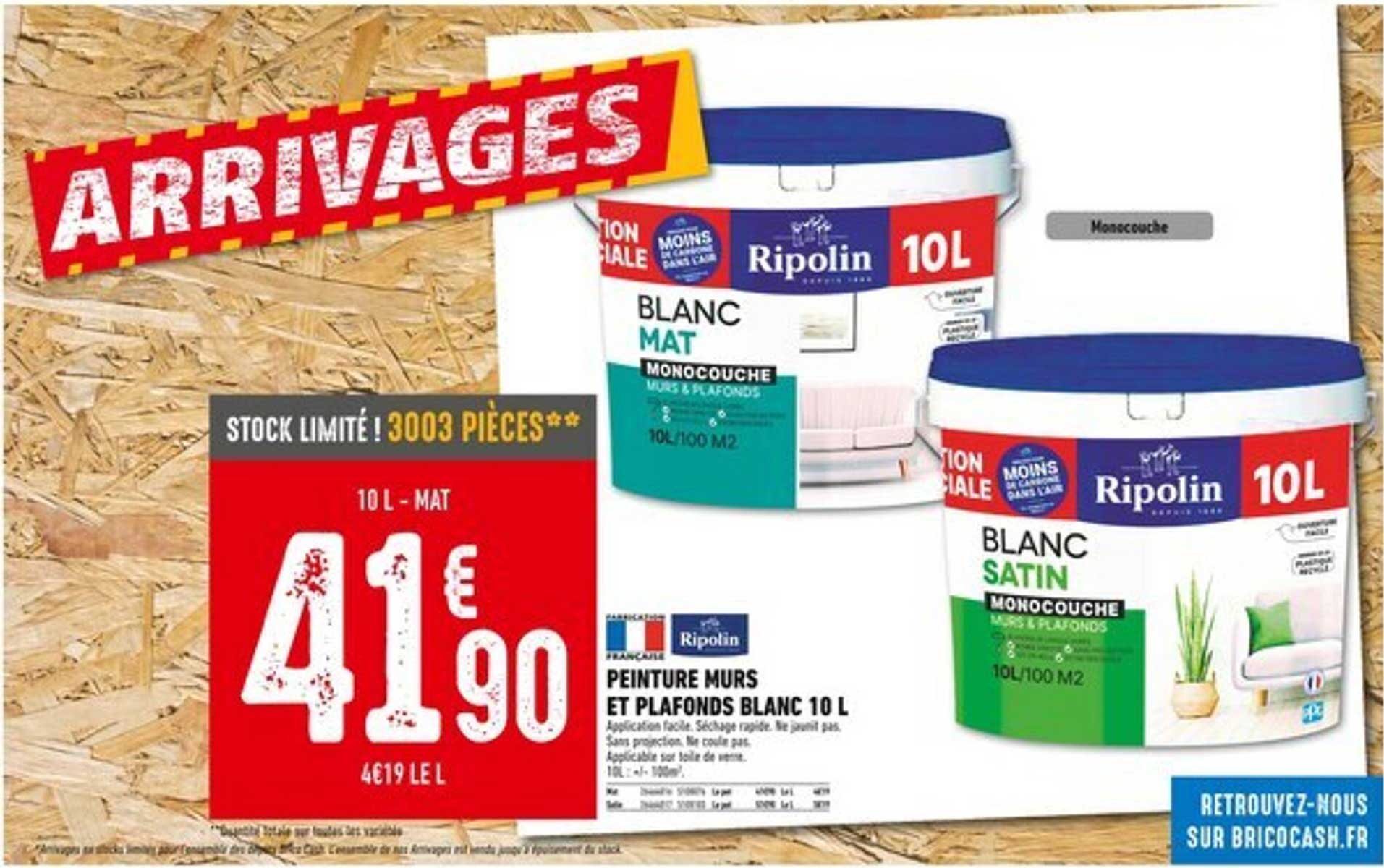 Peinture Murs et Plafonds Blanc 10 L - Monocouche